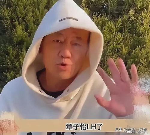 刘一飞直播间爆料最新消息,最新消息大揭秘!